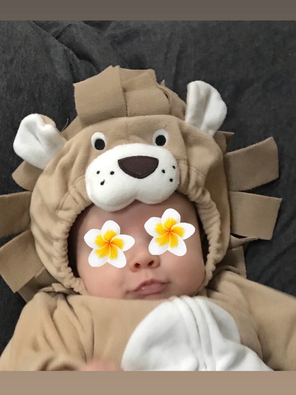 Lion costume - Picture 7 of 7